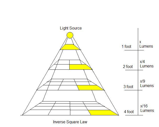 suspensie Peregrination Bevriezen Hoeveel LED lampen moet ik hebben? | Leds Refresh