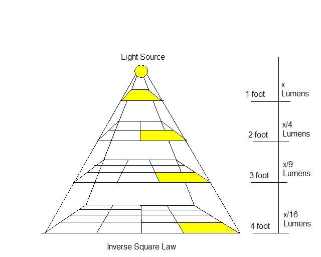 indruk een experiment doen Mitt Hoeveel LED lampen moet ik hebben? | Leds Refresh