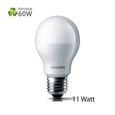 Kloppen Ontslag Christchurch LED-lamp Philips voor Grote Fitting E27 | Bestel Vandaag | Leds Refresh